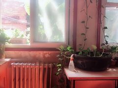 -胖哥料理(兴义里店)