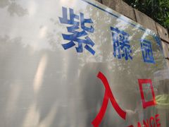 -嘉定紫藤园