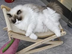 -爱洗澡的猫(天河路店)