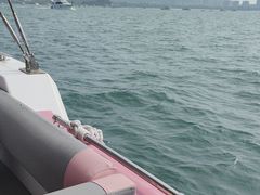 -小猫钓鱼海钓俱乐部(椰梦长廊店)