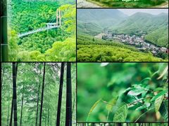 -中国大竹海景区