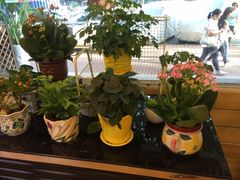 -家琳甜品(江南东店)