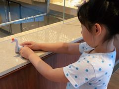 -静之湖湖畔餐厅