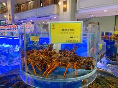 水产区-新海渔港·胶东海鲜家常菜·家宴(奥体中心店)