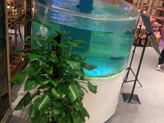 -辣得叫湘菜(四明店)