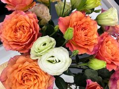 -马泷齿科·皓康门诊(尚都SOHO店)