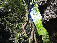 -山王坪喀斯特国家生态公园