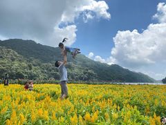 -广州市石门国家森林公园