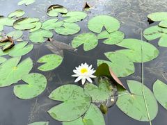 -白鹭湾湿地公园