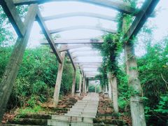 -缥缈峰景区