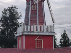 -羊亭河湿地公园