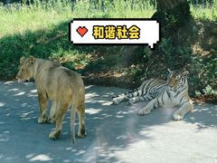-西安秦岭野生动物园