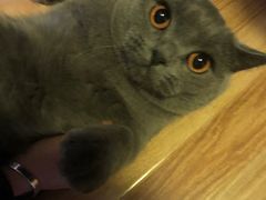 -壹人壹像工作室(购物公园店)