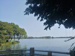 -海珠湖公园
