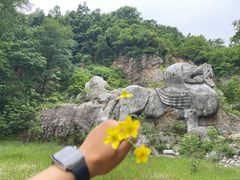-南京老山国家森林公园