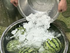 -七的湖·晚芳亭·阳澄湖农家菜·大闸蟹(莲花岛店)