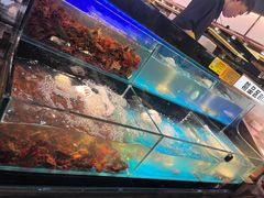 -苏格里岛自助烤肉海鲜火锅(成都金牛万达店)