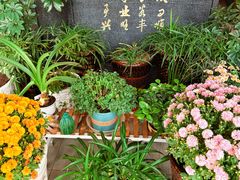 -西北兄弟大盘鸡卷子鸡