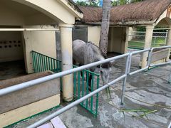 -三亚亚龙湾天域度假酒店