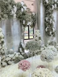 -DC大蔡婚礼策划(李公堤店)