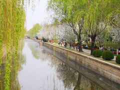 -海棠花溪(元大都城垣遗址公园)