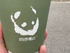 -都江堰中华大熊猫苑