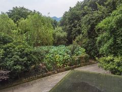 -西院1号(龙井店)