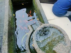 -壹泰东南亚主题餐厅·高良姜风情(州桥店)