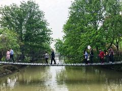 -南汇桃花村