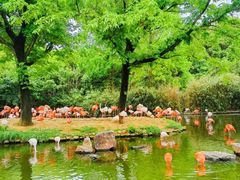 -上海野生动物园