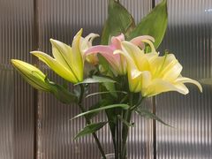 -鑫小城故事·藕汤·家常菜(台北一路总店)