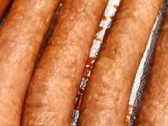 -瑞安八珍(大连商场店)