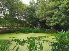 -东湖落雁景区