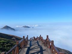 -万达广场(泰安泰山店)