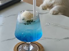 -喵园·猫主题咖啡厅·撸猫·猫咖(国贸店)