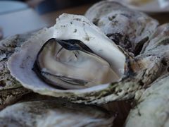 -蠔爺王志德生蚝馆(金沙湾店)