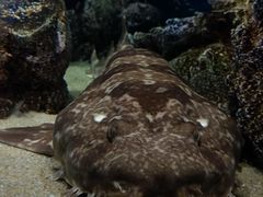 -厦门海底世界