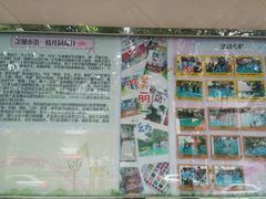 -深圳市第一幼儿园