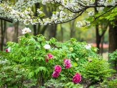 -江南大学(蠡湖校区)