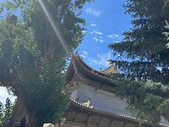 -张掖大佛寺景区