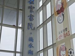 -朵云书院(滴水湖店)
