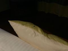 -三亚亚龙湾雅高美爵酒店