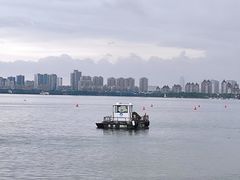 -金鸡湖游船(月光码头)