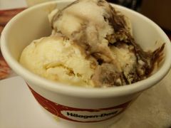 哈根达斯-芭菲盛宴·环球美食(解放碑英利国际店)
