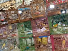 -万商花鸟市场