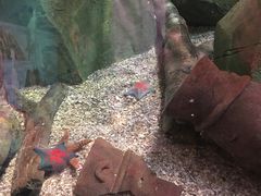 -沈阳海洋探索中心