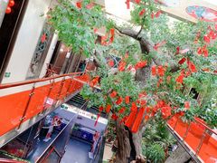 -自助火锅筷乐食代自助餐厅(金辰店)