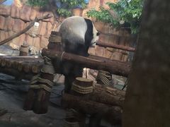 -泉州海丝野生动物世界