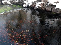 -水磨沟公园