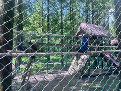 -黄海国家森林公园